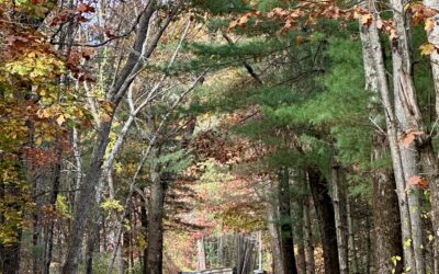 Cutbacks happen. Growth is optional.